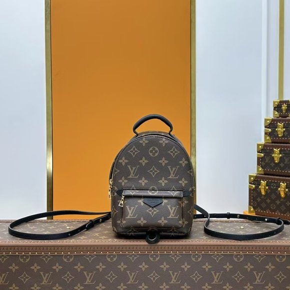 LV Brand new Louis Vuitton brown backpack casual bag travel bag main image 2